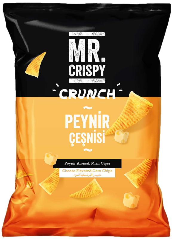 MASTER PEYNİR AROMALI CİPS 90 GR