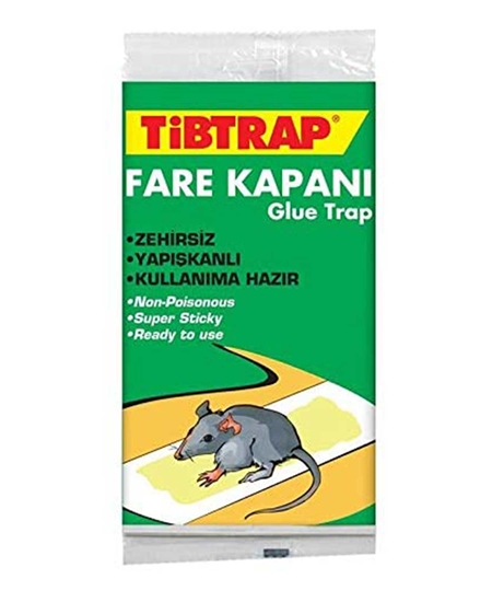 TİBTRAP FARE YAPIŞKAN