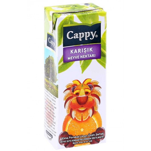 CAPPY KARIŞIK MEYVESUYU 200 ML