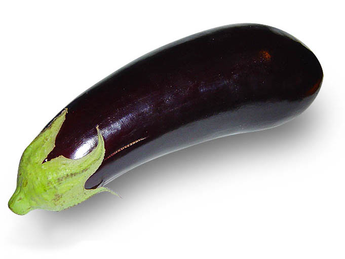 PATLICAN