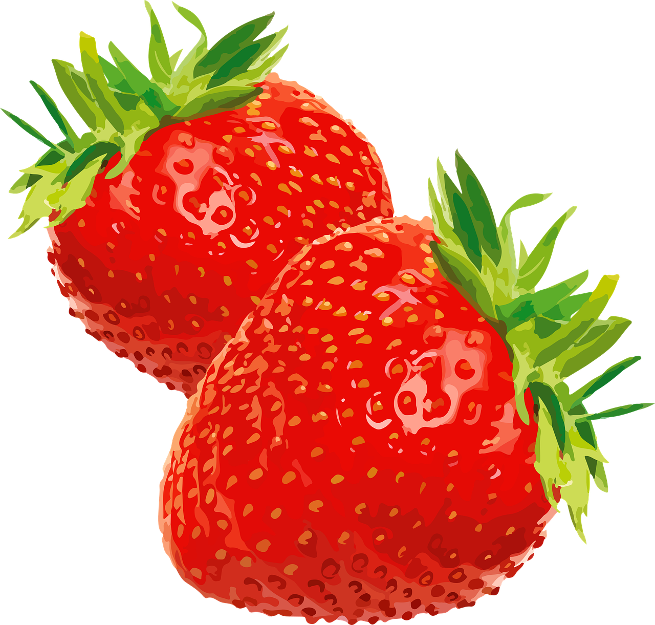 ÇİLEK 