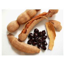 DEMİRHİNDİ PAKET