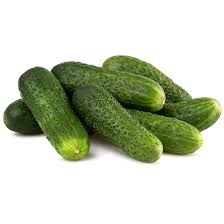 KORNİŞON SALATALIK 