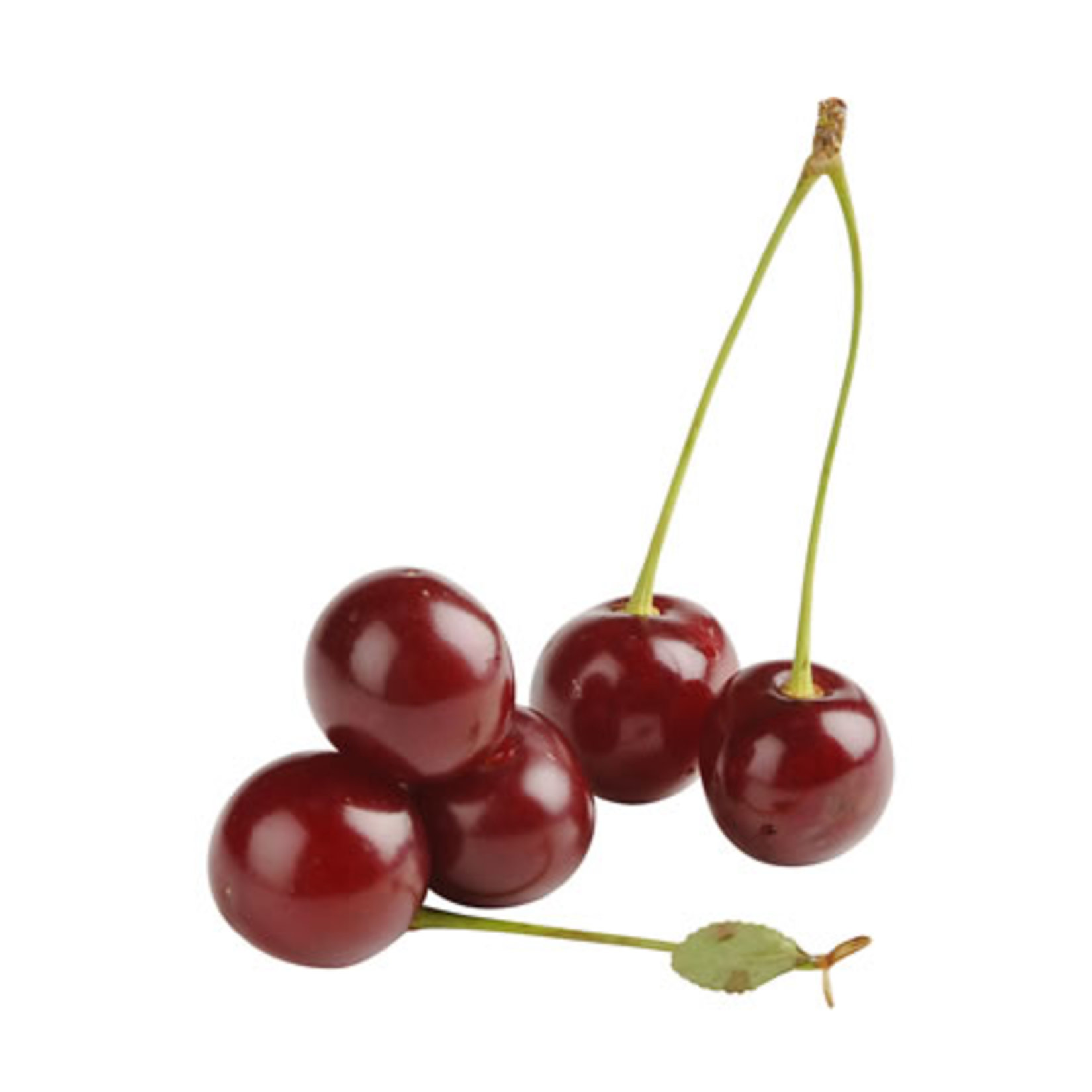 VİŞNE