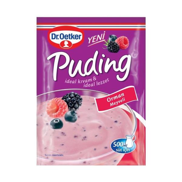 DR.OETKER ORMAN MEYVELİ  PUDİNG 81GR 