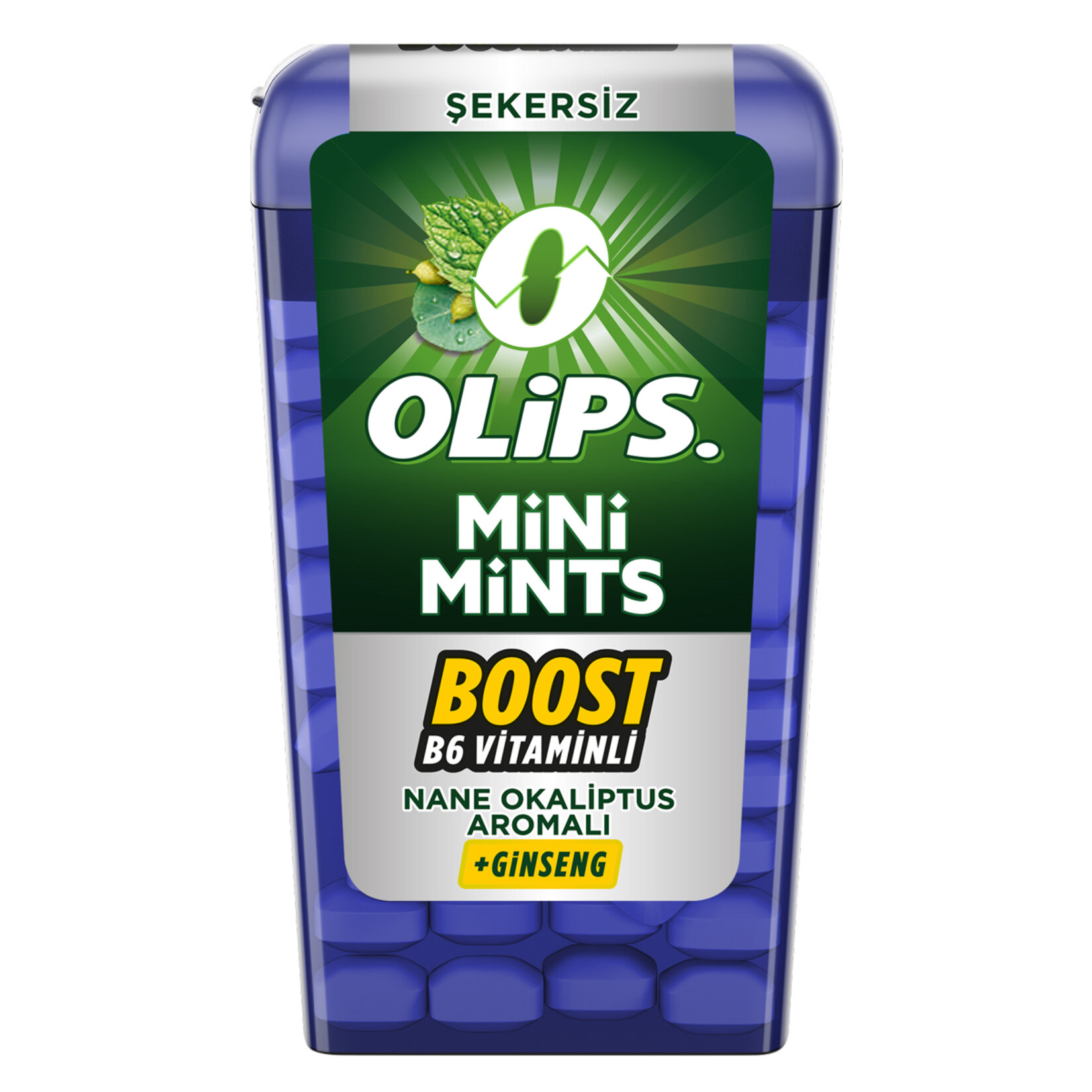 KENT OLİPS MİNİ NANE MİNTS 12,5 GR