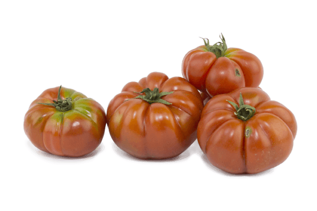 ORGANİK DOMATES 