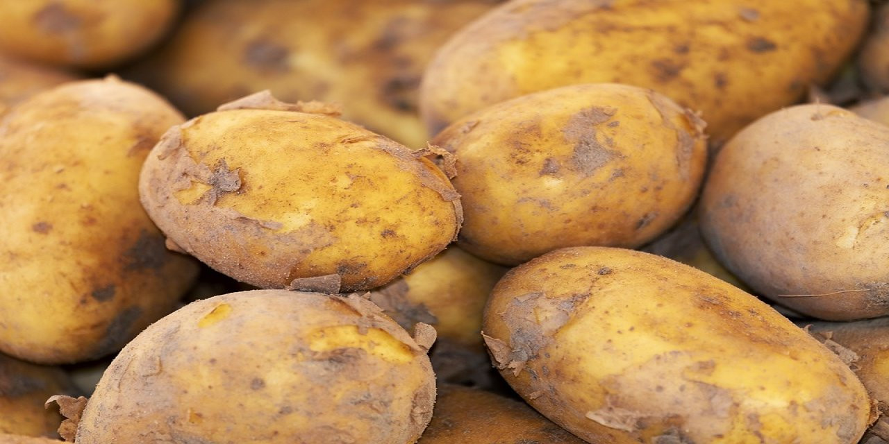 PATATES