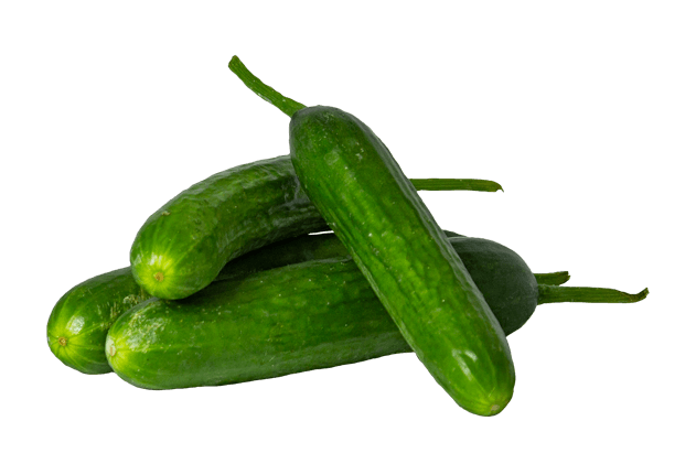 SALATALIK