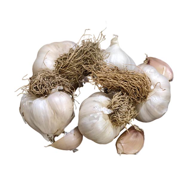 SARIMSAK PAKET 1