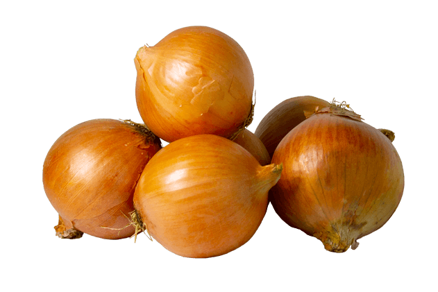 SOĞAN
