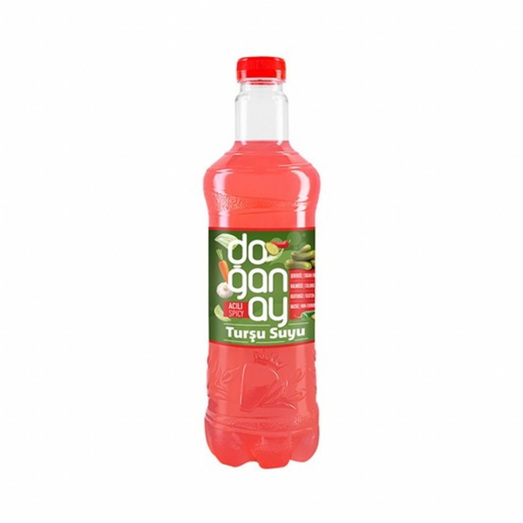 DOĞANAY ACILI TURŞU SUYU 250ML