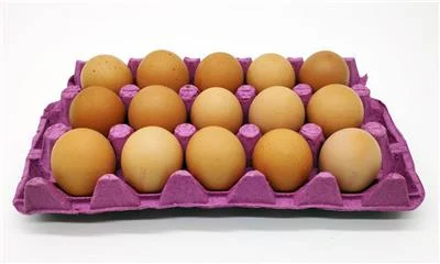 KOZLU YUMURTA L BOY 15 Lİ ( SARI )