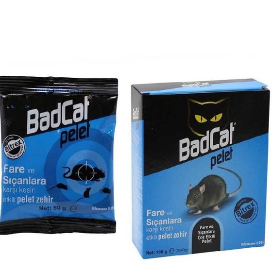 BADCAT PASTA FARE ZEHİRİ 