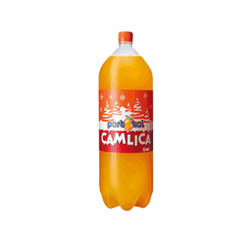 ÇAMLICA PORTAKAL 2,5 LT