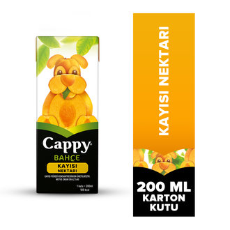 CAPPY KAYISI NEKTARİ 200 ML
