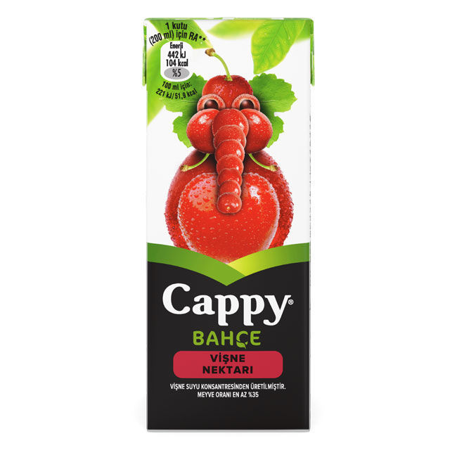 CAPPY VİŞNE MEYVE SUYU 200 ML
