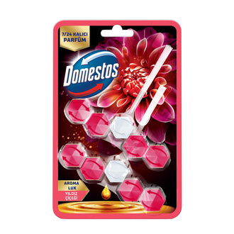 DOMESTOS YILDIZ ÇİÇEĞİ  KOKULU WC BLOK 2*50