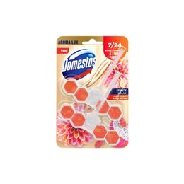 DOMESTOS  EJDER MEYVE KOKULU WC BLOK 2*50