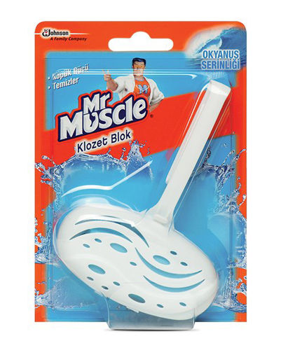 MR MUSCLE KLOZET BLOK 40 GR