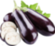 SCHAFER SEABORN KAYIK TABAK 24 CM DENİZ KABUKLU