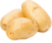 TUTKU PORSELEN KAPAK CAM KAVANOZ KÜÇÜK